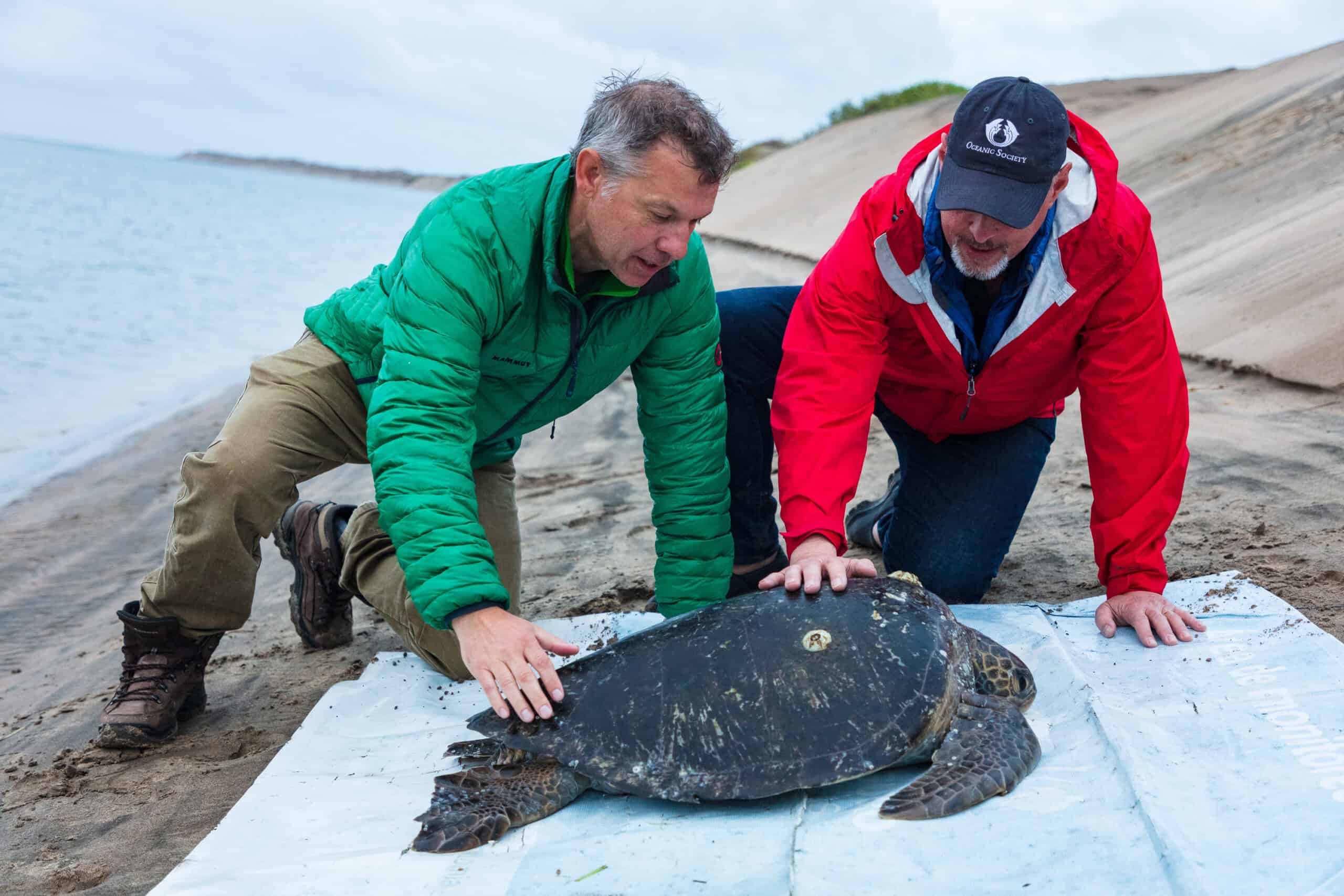 0122__Baja2019_Hoguephoto__W8A7347-2 (1)