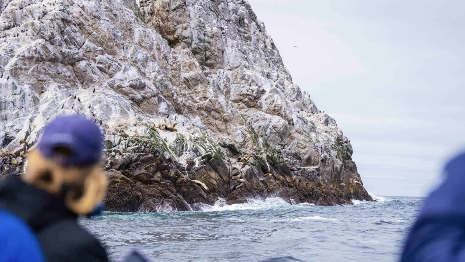 visitors near farallon islands