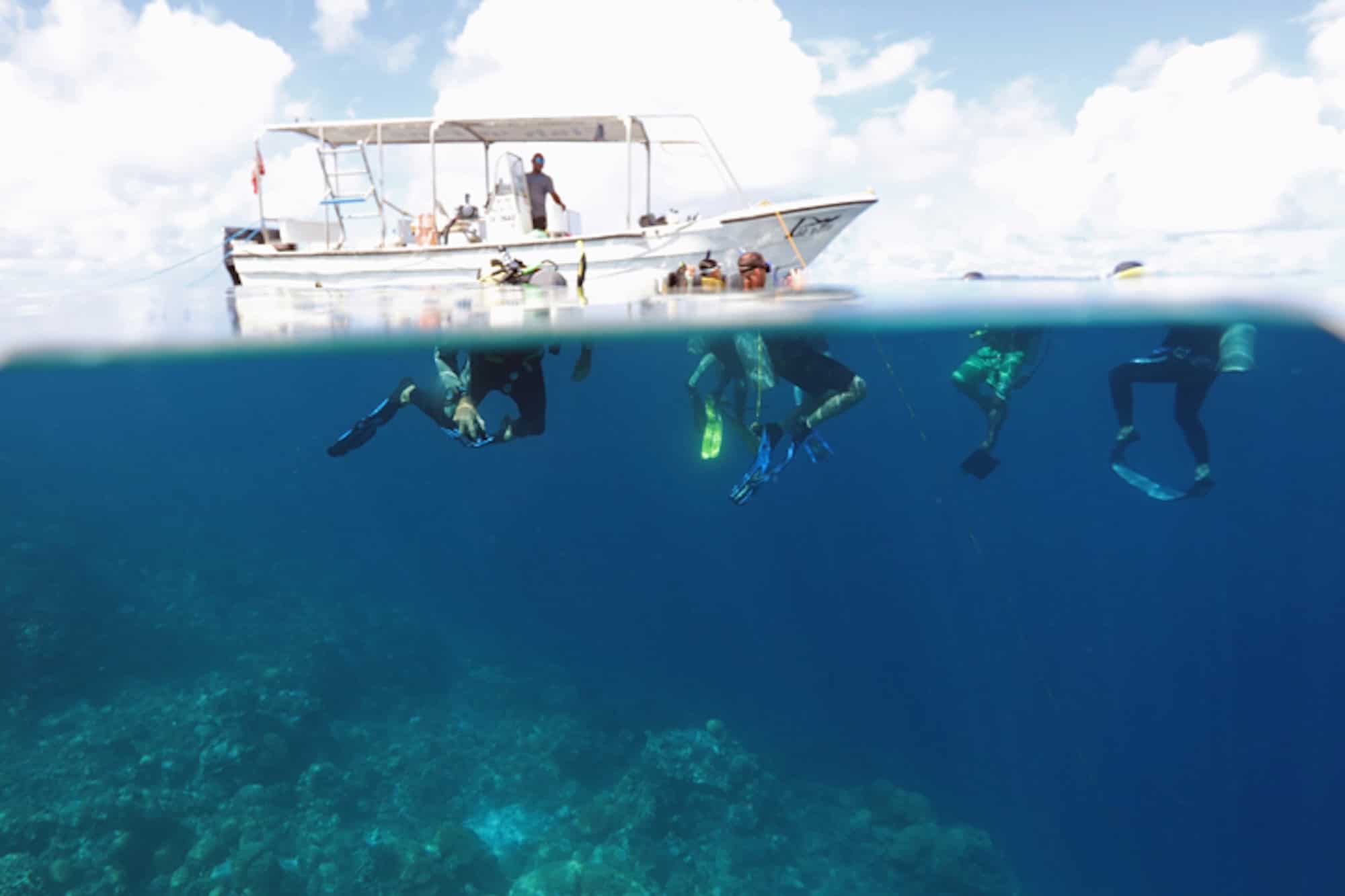 photograph of snorkelers above and beneath the surface just beside skiff