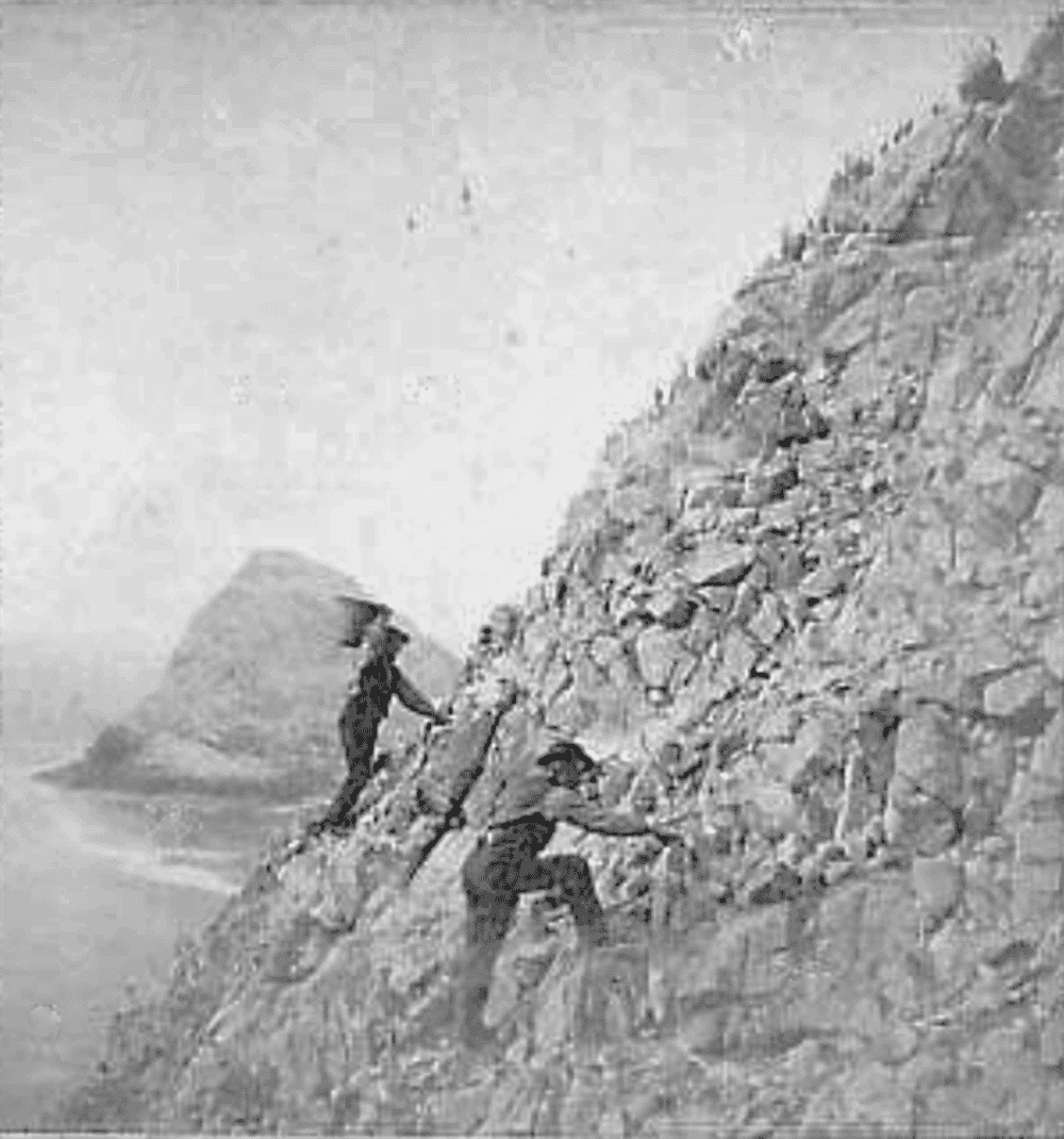 gathering murre eggs southeast farallon island